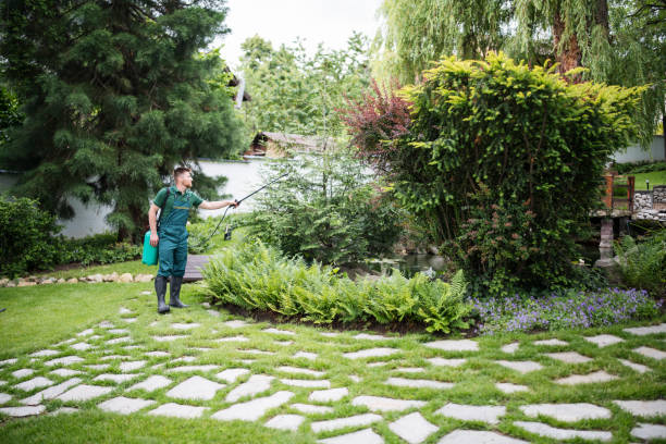 Best Emergency Pest Control  in Cottage Grove, MN