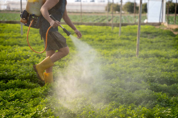 Trusted Cottage Grove, MN Pest Control Experts